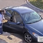 BOMBSHELL VIDEO Shows Same Woman Makes FOUR Trips to Detroit Drop Box In TWO Days… Deposits Stacks Of Ballots — EXCLUSIVE VIDEO