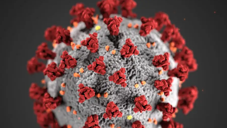 COVID-19 Vaccine Shedding May Be Real, Study Shows