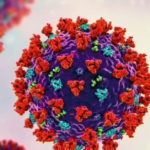 COVID reinfection likely to become more common without variant-specific vaccines, experts say