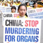 LIVE on May 12, 1030 AM ET Forced Organ Harvesting in China Examining the Evidence
