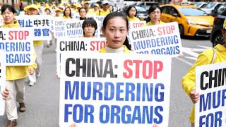 LIVE on May 12, 1030 AM ET Forced Organ Harvesting in China Examining the Evidence