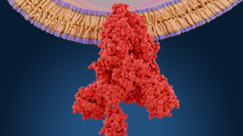 SARS-CoV-2 Spike Protein Is a Toxin