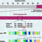 Scientists Find Genetic Insert in SARS-CoV-2 That Matches Sequence Patented by Moderna 3 Years Before Pandemic (1)