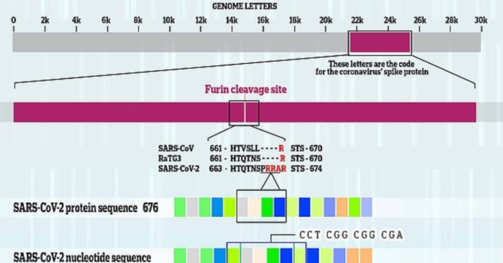 Scientists Find Genetic Insert in SARS-CoV-2 That Matches Sequence Patented by Moderna 3 Years Before Pandemic (1)
