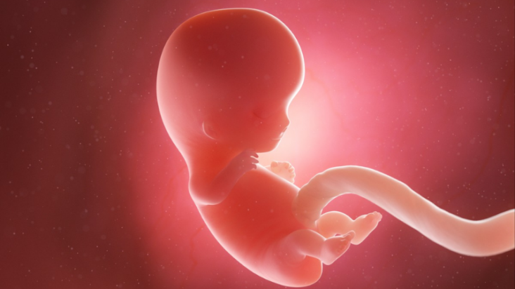 So CHY-NA is developing a womb factory so women will no longer have to give birth and the robot nanny can monitor any defects.