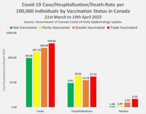 covid 19 cases