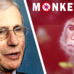 $9.8 Million Awarded Last Year by Fauci’s Agency to Test Monkeypox Treatment