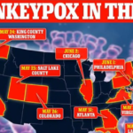 CDC advises travelers to wear MASKS to protect against monkeypox as it raises alert level and confirms 31 cases in the US including seven in New York and six in California