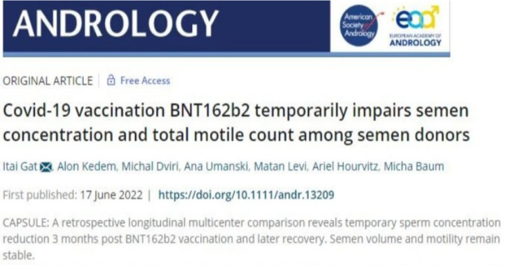 Covid-19 vaccination BNT162b2 temporarily impairs semen concentration and total motile count among semen donors