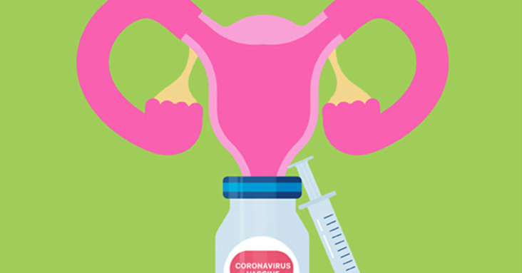 Covid Vaccines and Infertility