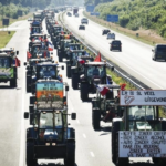Dutch farmers protest livestock cuts to curb nitrogen