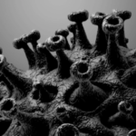 Every woman of child-bearing age should read this warning on the Covid vaccines