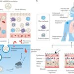 Lipid Nanoparticles, mRNA, PEG Assault Natural Conception, Gestation, and Birth