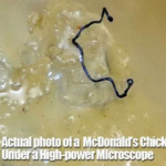 Mysterious Hair-Like Fibers