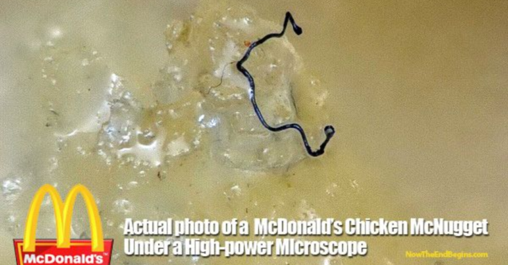 Mysterious Hair-Like Fibers