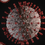 WHO Chief Scientist Says COVID-19 to Come in Waves in Every 4 to 6 Months