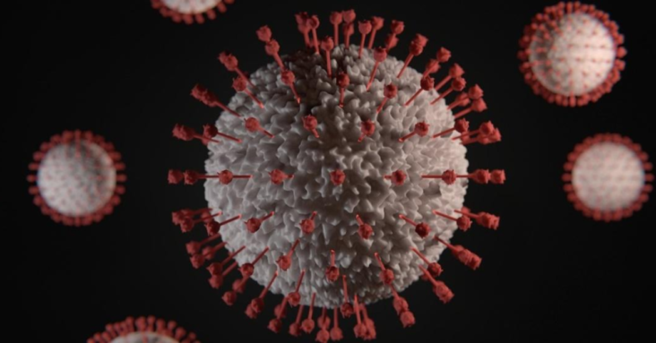 WHO Chief Scientist Says COVID-19 to Come in Waves in Every 4 to 6 Months