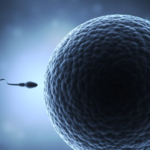 Want to Be a Dad? Count Your Sperm If You’ve Had the Jab