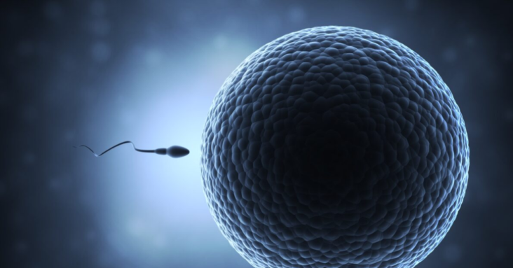 Want to Be a Dad? Count Your Sperm If You’ve Had the Jab