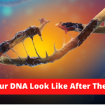 What Does Your DNA Look Like After The “Vaccine”
