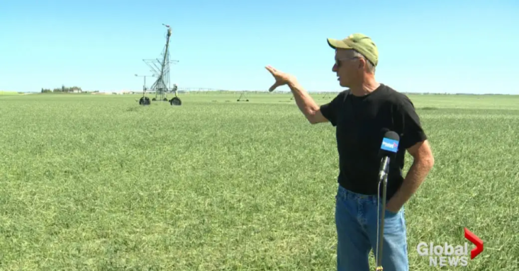 A 20-minute storm with 12 months of consequences: Farmers devastated by crop loss