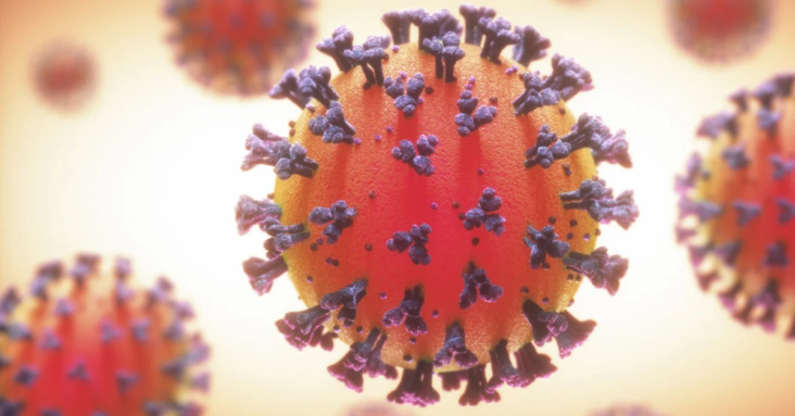 About 10 countries now in court cases CAN NOT proved that CONVID-19 exist — where ANYONE has isolated the CONVID virus by itself. Stick that in your vaQ needles! (1)