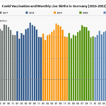 Covid Vaccines and Infertility