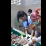 HUMAN FETAL CELLS IN THE FOODS YOU BUY