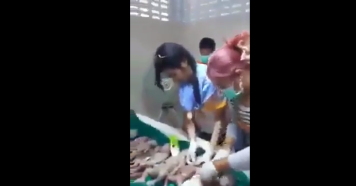 HUMAN FETAL CELLS IN THE FOODS YOU BUY