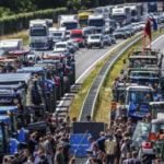 LILLEY Dutch farmer protest sparked by policy Trudeau wants for Canada