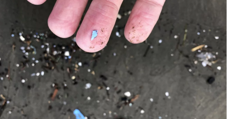 For the first time, researchers find microplastics deep in the lungs of living people