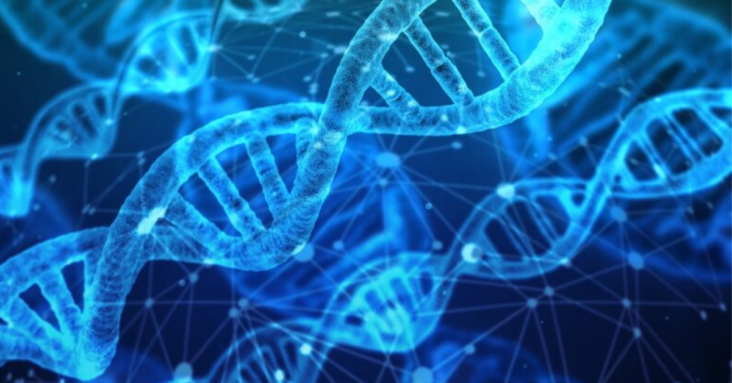 liver and changes into DNA, Swedish study finds