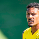 Testicular tumor discovered in BVB star Haller – questions and answers about testicular cancer