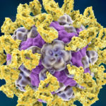 22 Infants Hospitalized Due to Parechovirus Infection as CDC Issues Warning