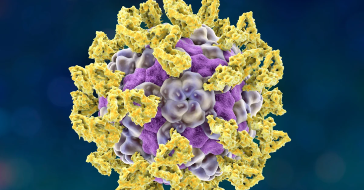 22 Infants Hospitalized Due to Parechovirus Infection as CDC Issues Warning