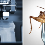 3D-printing insects mixed with vegetables could help us to prevent food crisis