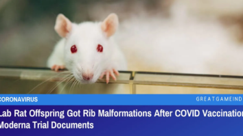 Lab Rat Offspring Got Rib Malformations After COVID Vaccination Moderna Trial Documents