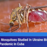 Ukraine Biolabs Used Fever Carrying Mosquitoes To Spark Dengue Pandemic In Cuba (1)