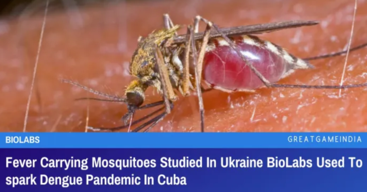Ukraine Biolabs Used Fever Carrying Mosquitoes To Spark Dengue Pandemic In Cuba (1)