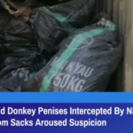 7000 Smuggled Donkey Penises Intercepted By Nigerian Officials After Smell From Sacks Aroused Suspicion
