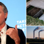 Decomposing HUMAN remains can legally be used as compost from 2027 thanks to new California law aimed at tackling climate change