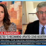 FDA vaccine adviser warns healthy young people should NOT get new COVID booster Says it's 'unfair to make them take a risk' after data suggested shot was not as effective as first batch