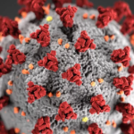 How to remove Graphene, which is being transmitted from the COVID Vaccinated to the Unvaccinated, from your body