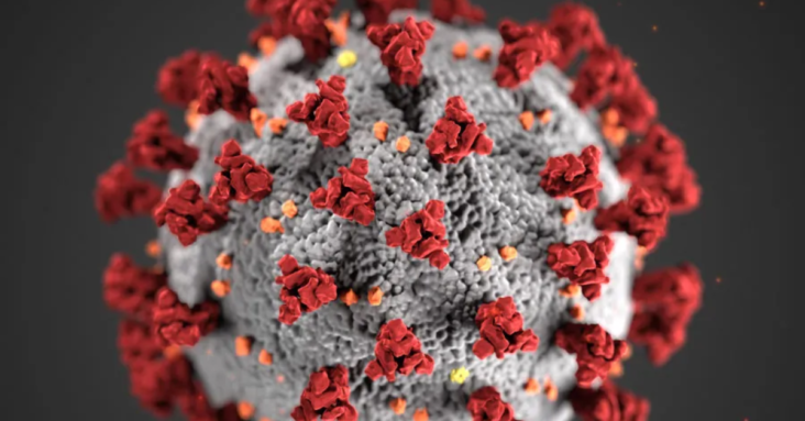 How to remove Graphene, which is being transmitted from the COVID Vaccinated to the Unvaccinated, from your body