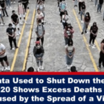 Italian Data Used to Shut Down the World in Spring 2020 Shows Excess Deaths Were Not Caused by the Spread of a Virus (1)