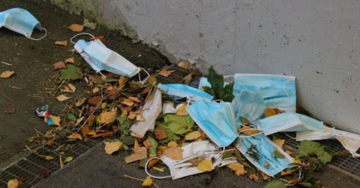 The PPE used throughout the COVID‑19 pandemic is getting tangled up in wildlife