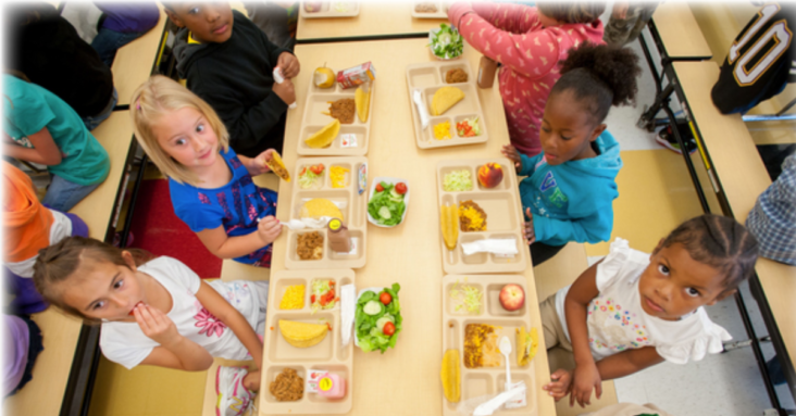 National School Lunch Testing for Glyphosate, Pesticides, Heavy Metals, Hormones, Veterinary Drugs, and Nutrients Revealed