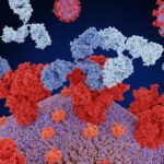 Spike Protein Disrupting Immunity in Millions After COVID Infection or Vaccination: Here’s How It’s Being Treated