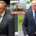 Fury as Anthony Albanese signs Australia up to a $2trillion fund to pay poor countries affected by climate change: 'Start helping Australian families instead of giving away their money'