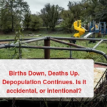 Is Depopulation we are Seeing, Planned or Incidental? December Births and Deaths Update